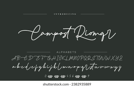 Best Alphabet Birdsong Amazing Script Signature Logotype Font lettering handwritten