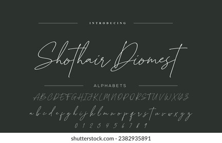 Best Alphabet Birdsong Amazing Script Signature Logotype Font lettering handwritten