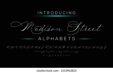 Best Alphabet Madison Street Calligraphy Signature Font lettering handwritten