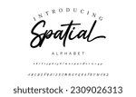 Best Alphabet Spatial Amazing Script Signature Logotype Font lettering handwritten