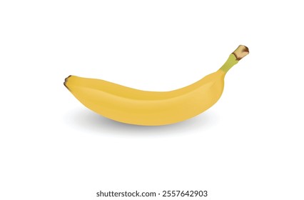 Best Banana Vector Art Illustration.