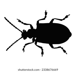 The best beetle silhouettes on a white background for any design needs