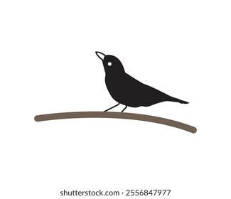 The Best Bird Vector Design For Illustration