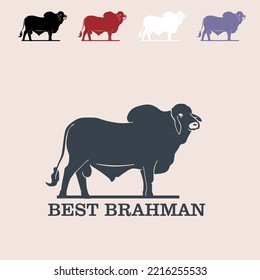 best brahman bull, silhouette of great cattle standing vector illustrations