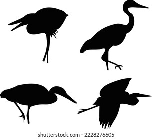Best Buck Bird Vector Black Silhouette