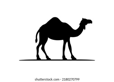 Best Camel Silhouette Vector With Cool Style For Best Camel Icon Illustration. The Black Camel Illustration Animal Logo Silhouette.