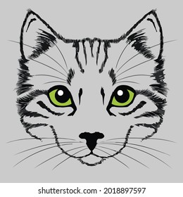 best cat pique design vector illustration for use in design and print poster canvas