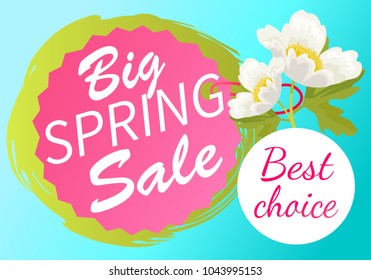 Best choice big spring sale advertisement tag label with white anemone flower on sticker, vector springtime advertisement poster springtime flowers