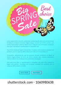 Best choice big spring sale label with butterfly, day-flying moth with wings vector illustration voucher advertisement online web poster push button