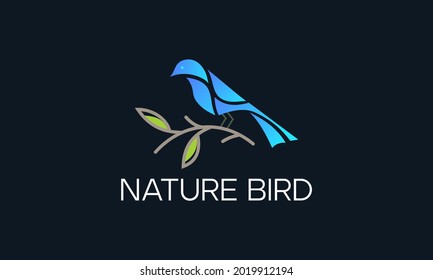 Mejor logotipo creativo de aves modernas Diseño-vectores de aves naturales