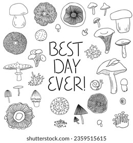 Best Day Ever hand drawn lettering and mushrooms outline drawing set. Black and white. For t- shirt, poster, banner, wall art.