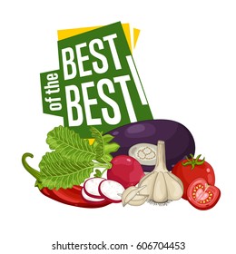 Best discount poster with fresh vegetable vector illustration. Natural product shop, locally grown, vegetarian nutrition offer, organic healthy food retail poster with tomato, garlic, eggplant, radish