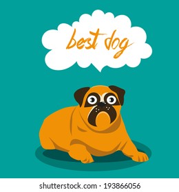 best dog