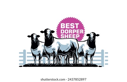 BEST DORPER SHEEP STANDING LOGO, silhouette of healthy ewe vector illustrations svg