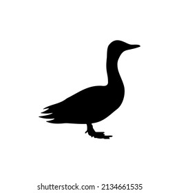 The Best Duck Silhouette Image With White Background. It is suitable for the needs of website design and application icons. Especially animals that live in water such as ducks.