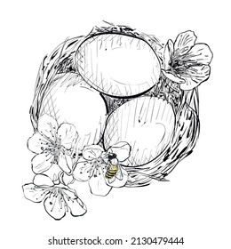 Best with eggs. Cherry blossom with bee. Sketch