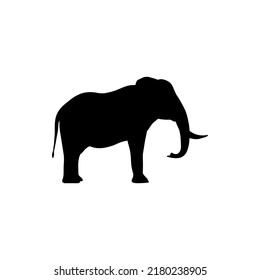 The Best Elephant Silhouette Vector For The Best Elephant Icon Design Illustration. Best Silhouette Of An Elephant.