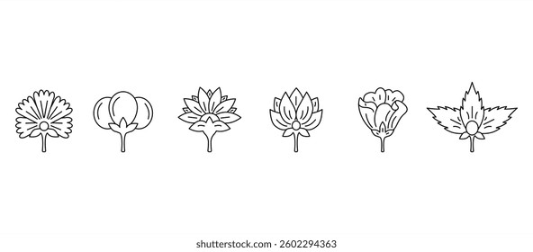 The best Flower icons vector . Line icons about flowers. Thin line icon set. Icon set of flower, Symbol collection in transparent background.