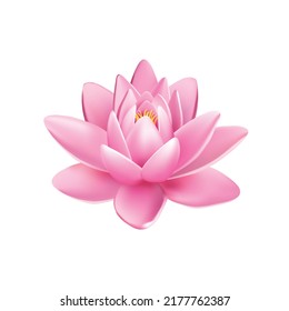 Best flower use for fashion design and other propose, beauty, garden, flowers, graphics, botany.  