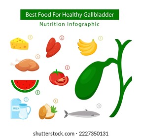 Best food for health gallbladder nutrition, health food illustration, nutrition infographic concept
