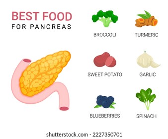 Best food for health pancreas nutrition, health food illustration, nutrition infographic concept