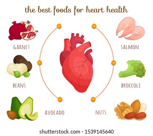 The Best Food For Heart Health. Vector Infographics On The Theme Of Proper Nutrition And Healthy Lifestyle. Diet For Proper Heart Function. Cartoon Style Illustration. Banner Landing.