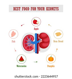 Best food for kidney health set illustration