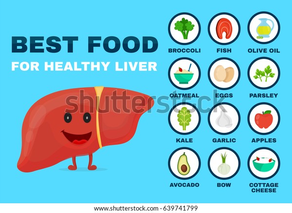 強い肝臓に最適な食べ物 強い健康な肝臓の特徴 ベクターフラットカートーンイラスト のアイコン 青の背景に 健康食品 食事 製品 栄養 栄養情報のコンセプト のベクター画像素材 ロイヤリティフリー