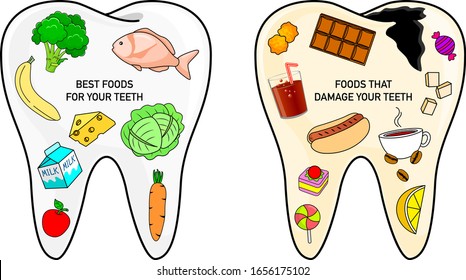 Vectores, imágenes y arte vectorial de stock sobre Teeth Fruits ...