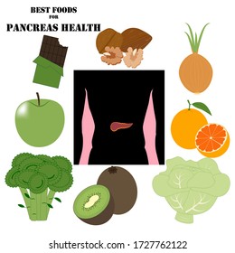 Best foods for pancreas health illustration on the white background. Vector illustration