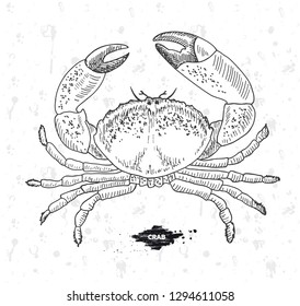 Best fresh Crab. Seafood. Vector illustration emblem or logo template. Vintage design with hand drawn sketch. Line art style.