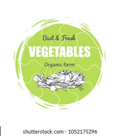 Best and fresh vegetables, organic farm, sticker of rounded form with title and images of pumpkin and broccoli, isolated on carrot vector illustration