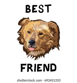 Best friend. Dog vector realistic illustration. Animal portrait.
