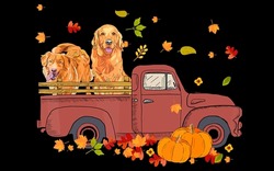 Best Funny Golden Retriever Pumpkin Truck Hello Fall Vector Design