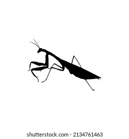 The Best Grasshopper Silhouette Image suitable for any kind of design. Good website design, applications, and others related to grasshoppers.