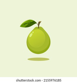 The Best Guava Illustration Vector High Quality