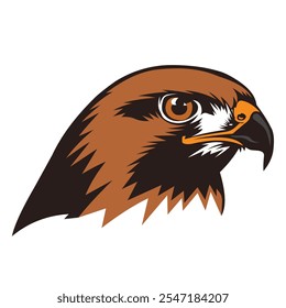 Best hawk head logo design