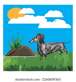 BESTE HD-QUALITÄT-VEKTORSYMBOL-ILLUSTRATION-HUND IN PARK