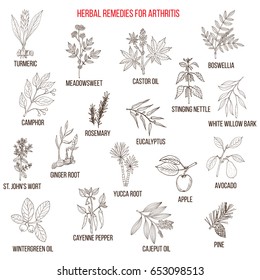 Best herbal remedies for arthritis. Hand drawn vector set of medicinal plants