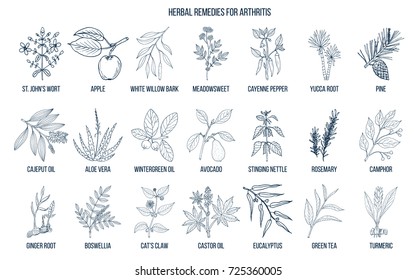 Best herbal remedies for arthritis. Hand drawn vector set of medicinal plants