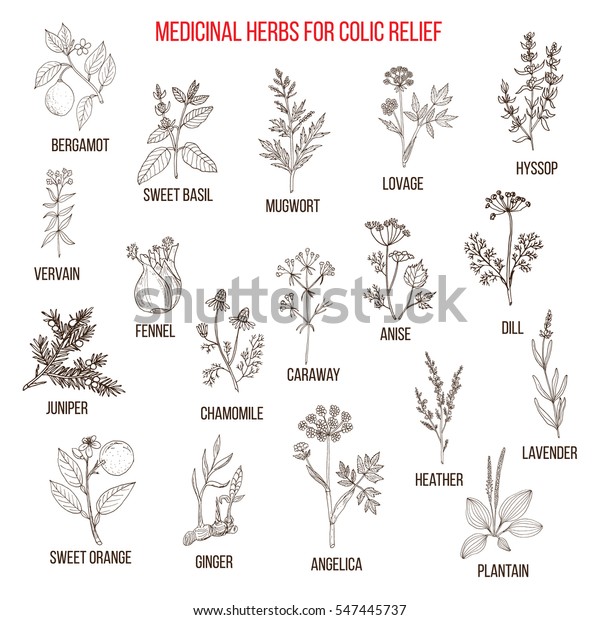 herbal remedies for colic
