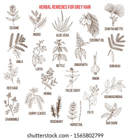 Best herbal remedies for gray hair. Hand drawn vector illustration