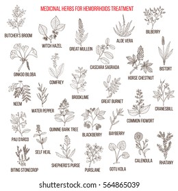 Best herbal remedies for hemorrhoids. Hand drawn vector set of medicinal plants