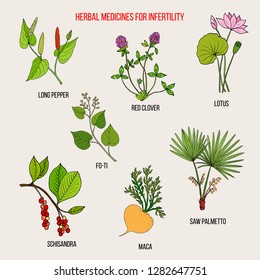 Best herbal remedies for infertility. Hand drawn botanical vector illustration