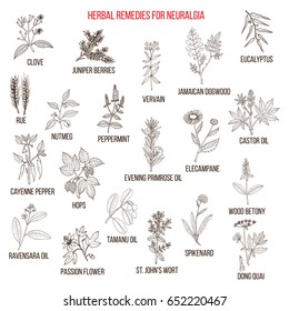 Best herbal remedies for neuralgia. Hand drawn vector set of medicinal plants