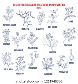 Best herbs for cancer treatment and prevention part 2. Hand drawn vector set of medicinal plants