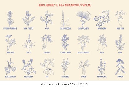 Best herbs for menopause symptom treatment. Hand drawn set of medicinal herbs