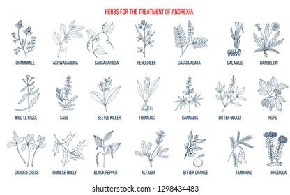 Best herbs for the treatment of anorexia. Hand drawn botanical vector illustration