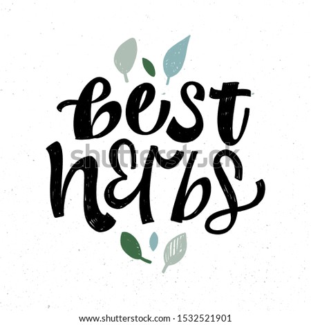 BEST HERBS. VECTOR HAND LETTERING TYPOGRAPHY