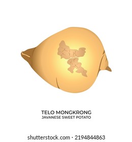 The best Javanese Sweet Potato vector illustration, Telo Mongkrong. Semi realistic cartoon design style. Suitable for many purposes.